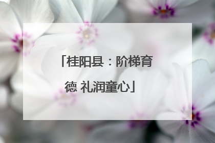 桂阳县：阶梯育德 礼润童心