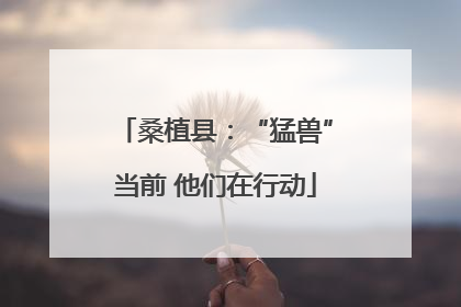 桑植县：“猛兽”当前 他们在行动