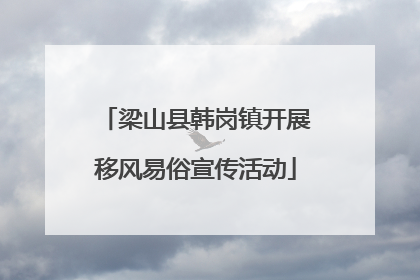 梁山县韩岗镇开展移风易俗宣传活动
