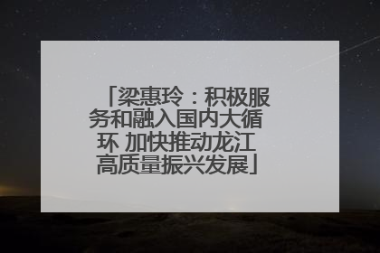 梁惠玲：积极服务和融入国内大循环 加快推动龙江高质量振兴发展