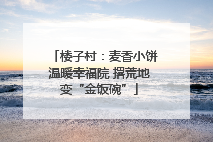 楼子村：麦香小饼温暖幸福院 撂荒地变“金饭碗”