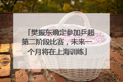 樊振东确定参加乒超第二阶段比赛，未来一个月将在上海训练