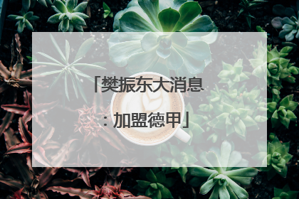 樊振东大消息：加盟德甲