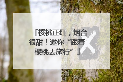 樱桃正红，烟台很甜！邀你“跟着樱桃去旅行”