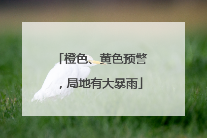 橙色、黄色预警，局地有大暴雨