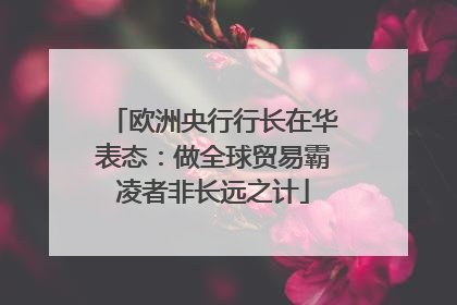 欧洲央行行长在华表态：做全球贸易霸凌者非长远之计