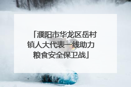 濮阳市华龙区岳村镇人大代表一线助力粮食安全保卫战