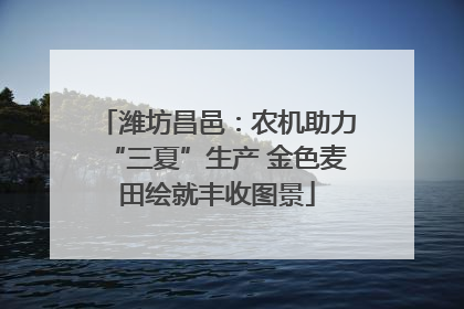 潍坊昌邑：农机助力“三夏”生产 金色麦田绘就丰收图景
