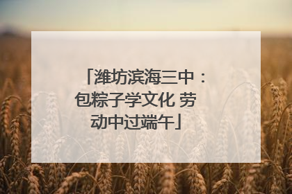 潍坊滨海三中：包粽子学文化 劳动中过端午