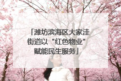 潍坊滨海区大家洼街道以“红色物业”赋能民生服务