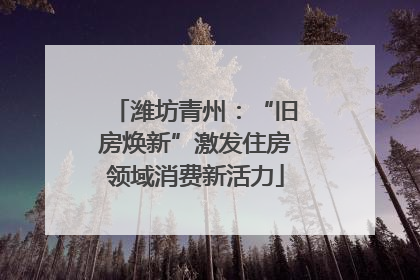 潍坊青州：“旧房焕新”激发住房领域消费新活力
