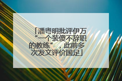 潘粤明批评伊万“一个装傻不辞职的教练”，此前多次发文评价国足