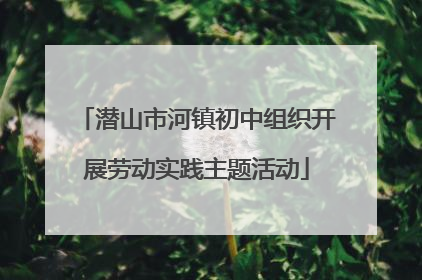 潜山市河镇初中组织开展劳动实践主题活动