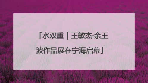 水双重｜王敏杰·余王波作品展在宁海启幕
