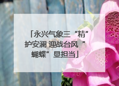 永兴气象三“精”护安澜 迎战台风“蝴蝶”显担当