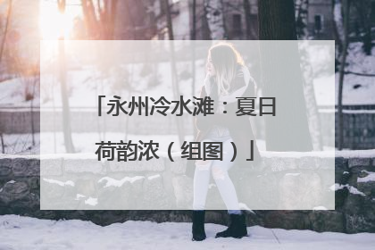 永州冷水滩：夏日荷韵浓（组图）