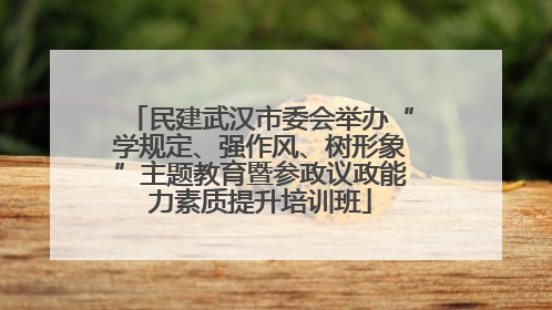 民建武汉市委会举办“学规定、强作风、树形象”主题教育暨参政议政能力素质提升培训班