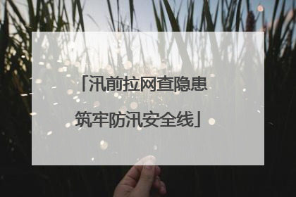 汛前拉网查隐患 筑牢防汛安全线