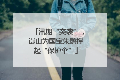 汛期“突袭”，崀山为国宝朱鹮撑起“保护伞”