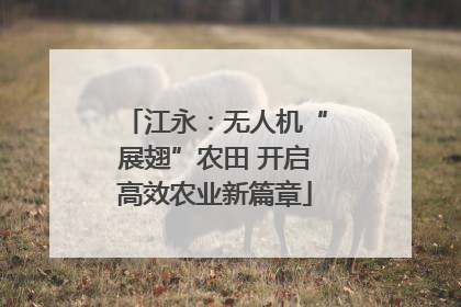 江永：无人机“展翅”农田 开启高效农业新篇章