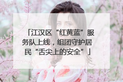 江汉区“红黄蓝”服务队上线，组团守护居民“舌尖上的安全”