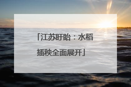 江苏盱眙：水稻插秧全面展开