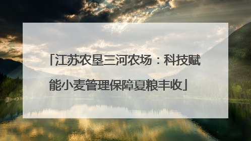 江苏农垦三河农场：科技赋能小麦管理保障夏粮丰收