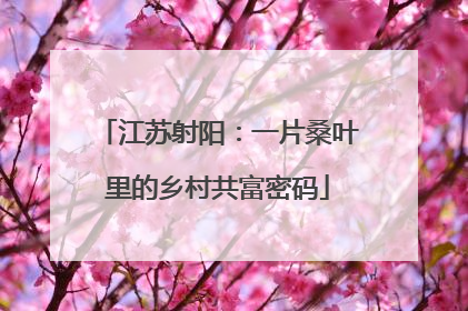 江苏射阳：一片桑叶里的乡村共富密码