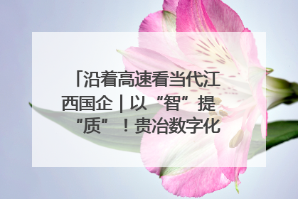 沿着高速看当代江西国企｜以“智”提“质”！贵冶数字化转型迈出新步伐