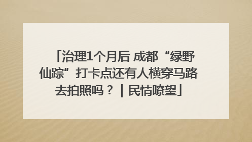 治理1个月后 成都“绿野仙踪”打卡点还有人横穿马路去拍照吗？｜民情瞭望