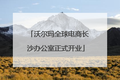 沃尔玛全球电商长沙办公室正式开业