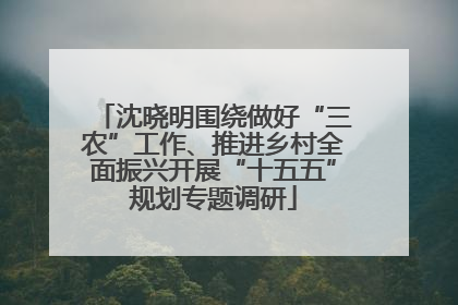 沈晓明围绕做好“三农”工作、推进乡村全面振兴开展“十五五”规划专题调研
