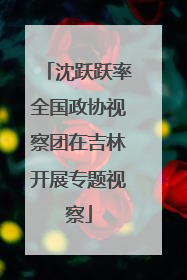 沈跃跃率全国政协视察团在吉林开展专题视察