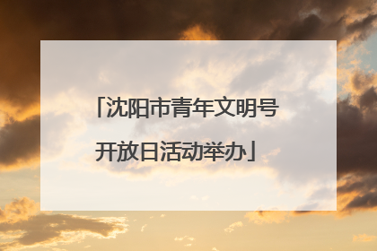 沈阳市青年文明号开放日活动举办