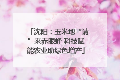 沈阳：玉米地“请”来赤眼蜂 科技赋能农业助绿色增产