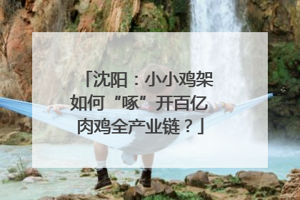 沈阳：小小鸡架如何“啄”开百亿肉鸡全产业链？