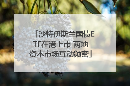 沙特伊斯兰国债ETF在港上市 两地资本市场互动频密