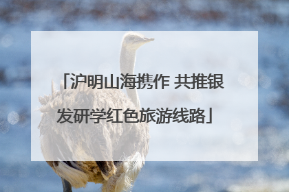 沪明山海携作 共推银发研学红色旅游线路