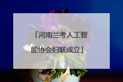 河南兰考人工智能协会妇联成立