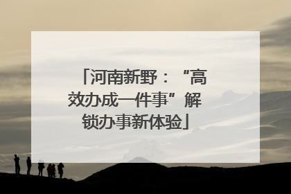 河南新野：“高效办成一件事”解锁办事新体验