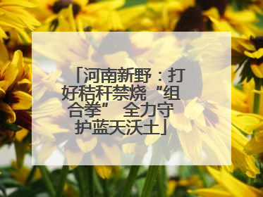 河南新野：打好秸秆禁烧“组合拳” 全力守护蓝天沃土