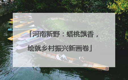河南新野：蟠桃飘香，绘就乡村振兴新画卷