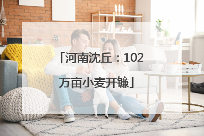 河南沈丘：102 万亩小麦开镰