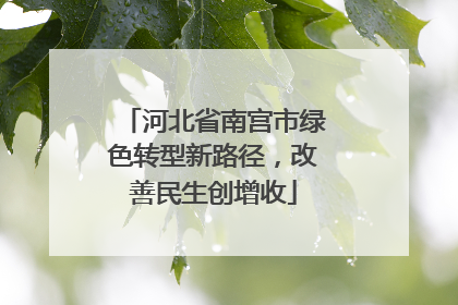 河北省南宫市绿色转型新路径，改善民生创增收