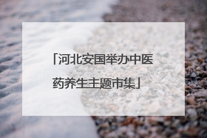 河北安国举办中医药养生主题市集