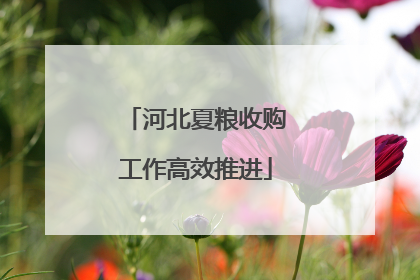 河北夏粮收购工作高效推进