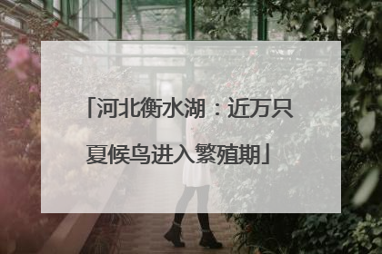 河北衡水湖：近万只夏候鸟进入繁殖期