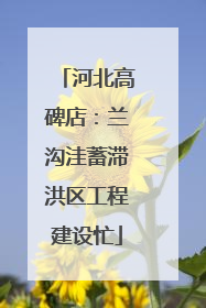 河北高碑店：兰沟洼蓄滞洪区工程建设忙