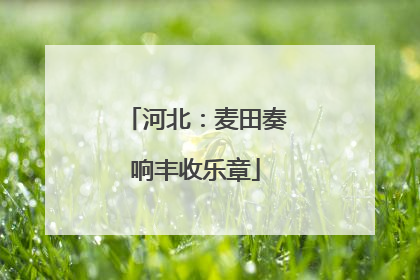 河北：麦田奏响丰收乐章