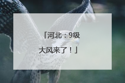 河北：9级大风来了！